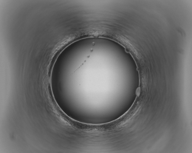 X0000113000721200909031252