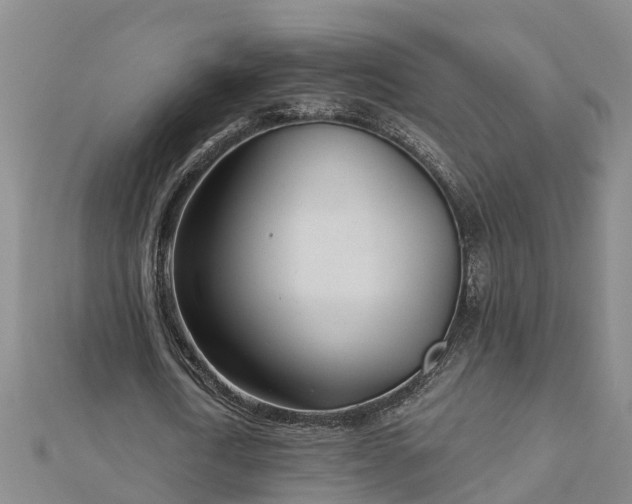 X0000113000722200909031252