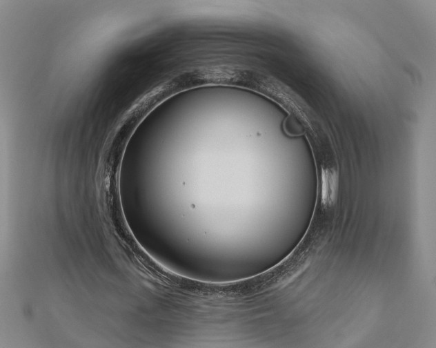 X0000113000723200909031252