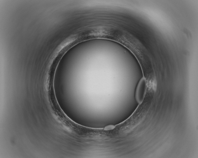 X0000113000724200909031252