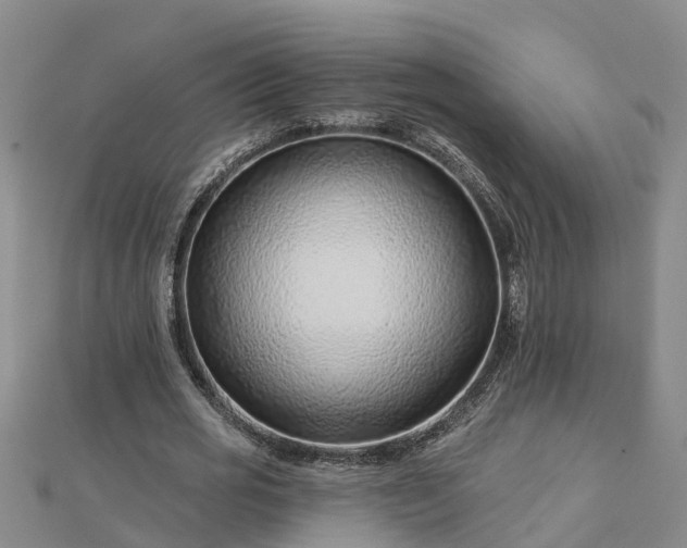 X0000113000725200909031252