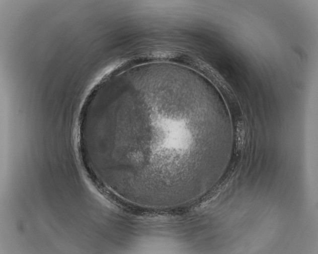 X0000113000726200909031253