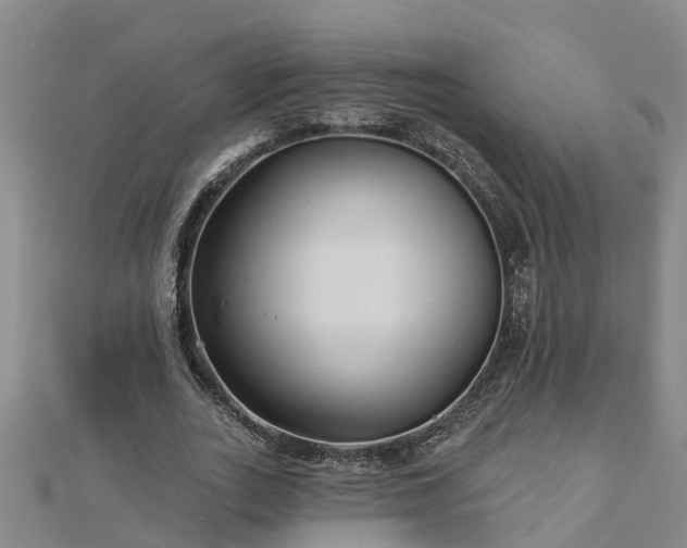 X0000113000727200909031253