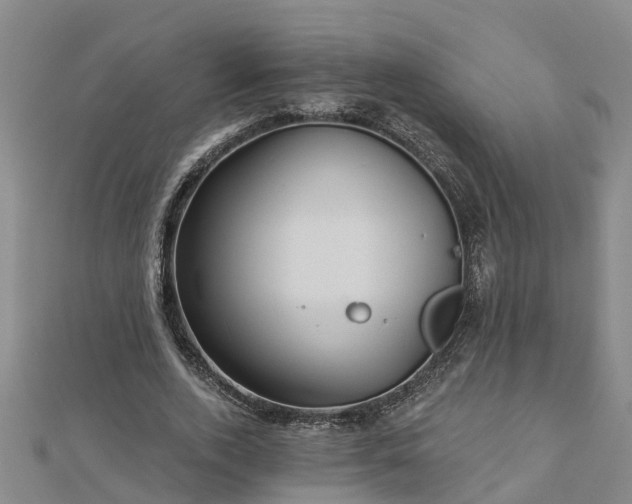 X0000113000728200909031253