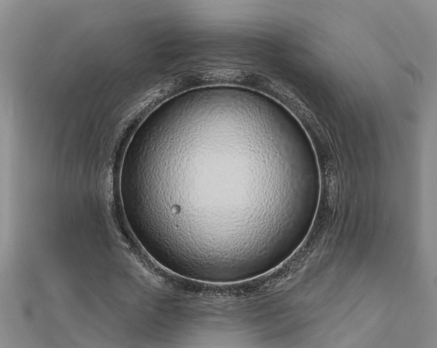 X0000113000729200909031253