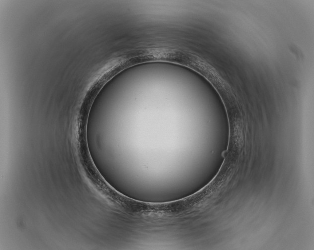 X0000113000730200909031253