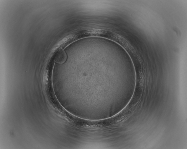 X0000113000731200909031253