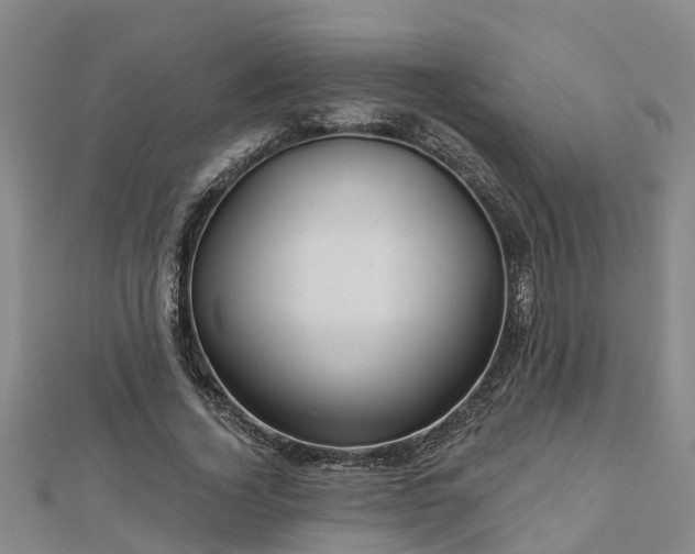 X0000113000732200909031253