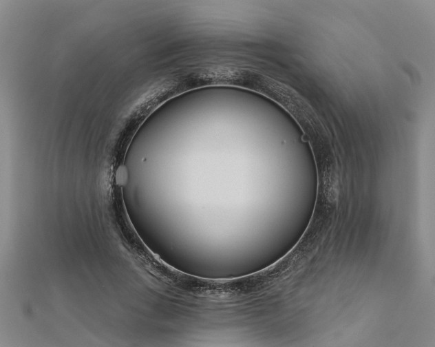 X0000113000735200909031253