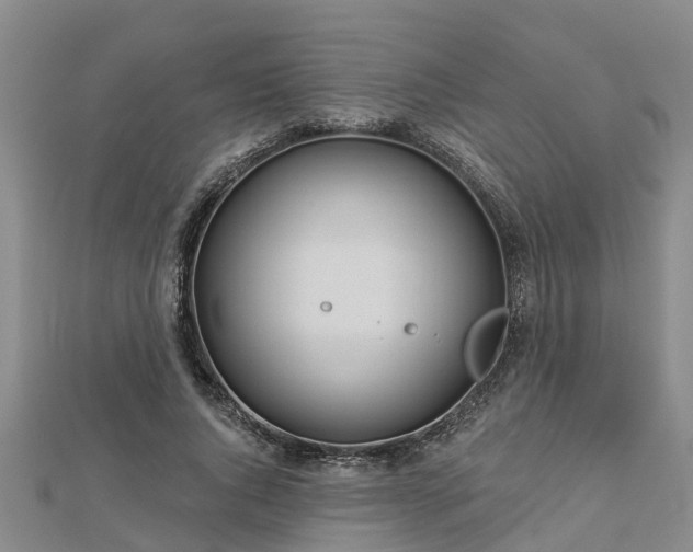 X0000113000736200909031253