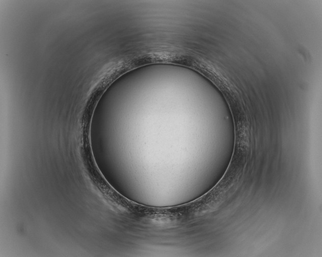 X0000113000738200909031253