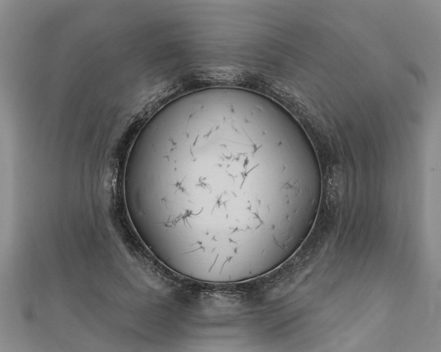 X0000113000739200909031253