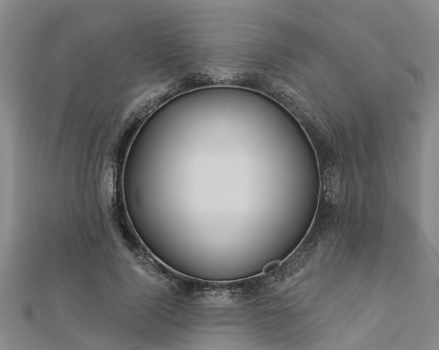 X0000113000740200909031253