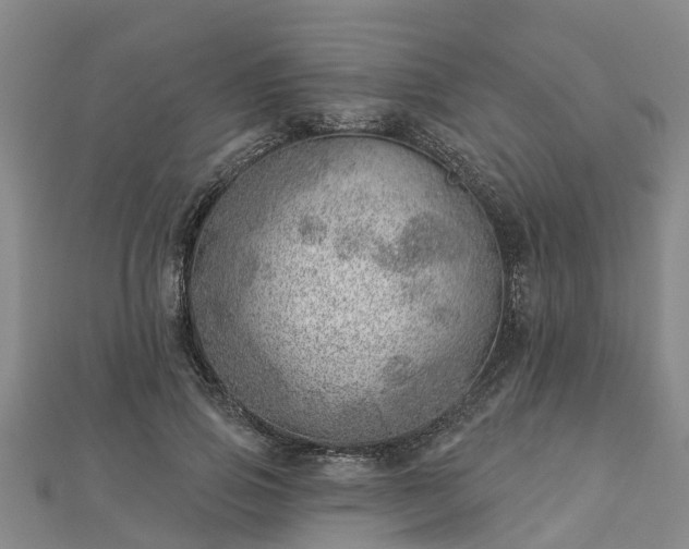 X0000113000741200909031253