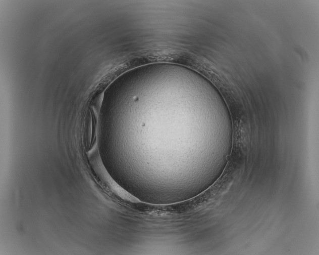 X0000113000742200909031253