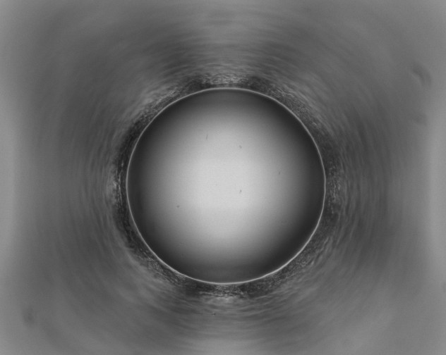 X0000113000743200909031253