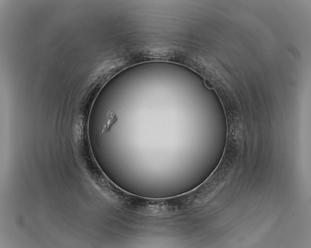 X0000113000744200909031253