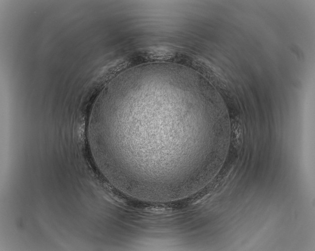 X0000113000745200909031253