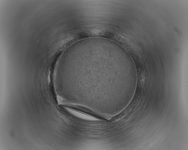 X0000113000746200909031253