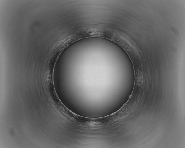 X0000113000748200909031253