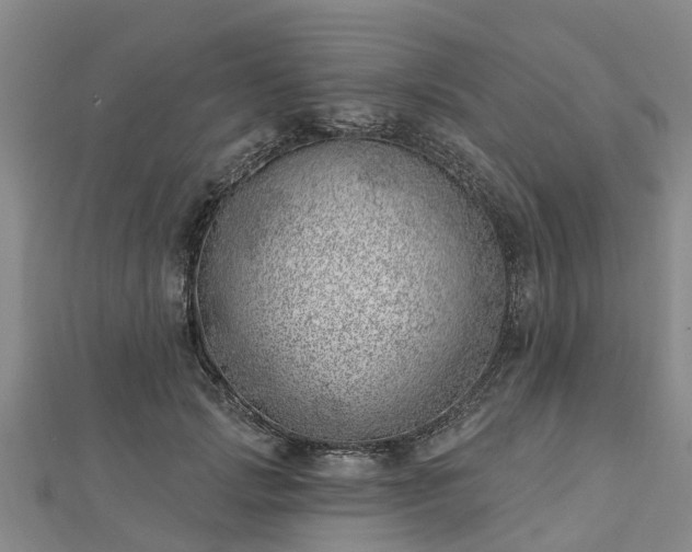 X0000113000749200909031253