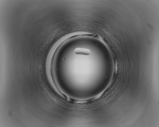 X0000113000750200909031253