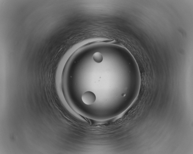 X0000113000752200909031253