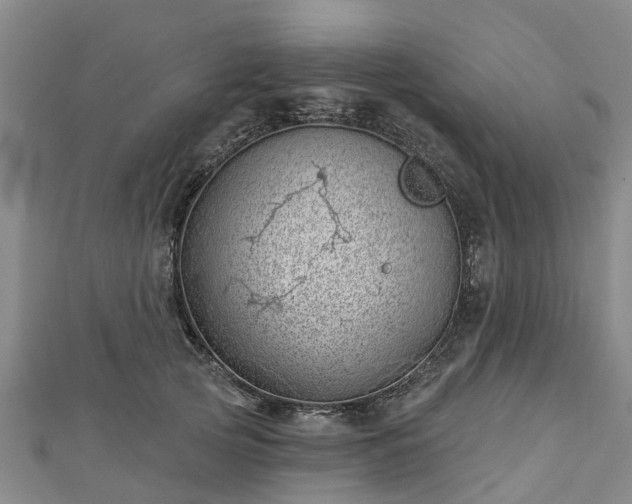 X0000113000753200909031253