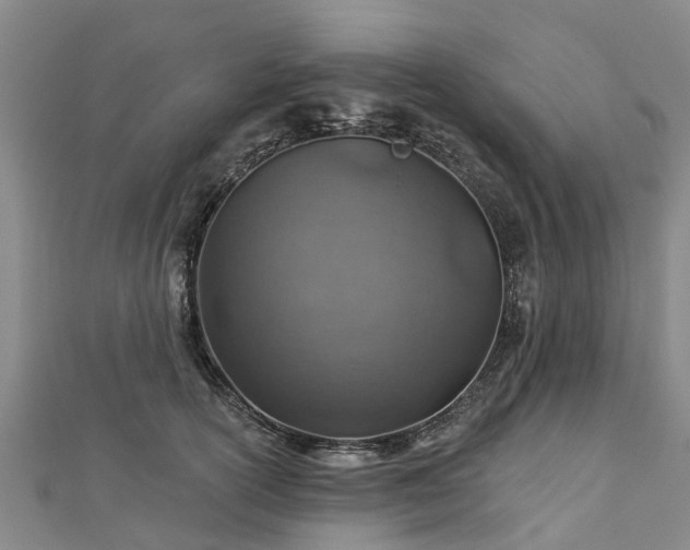 X0000113000754200909031253