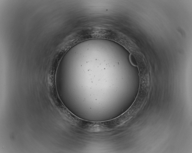 X0000113000755200909031253