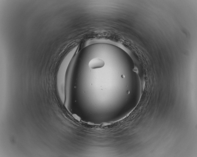 X0000113000756200909031253