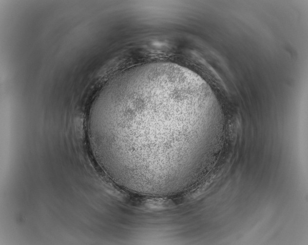 X0000113000757200909031253