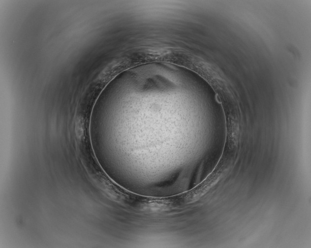 X0000113000758200909031253