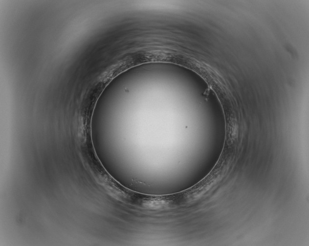 X0000113000759200909031253