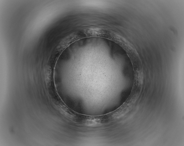 X0000113000760200909031253