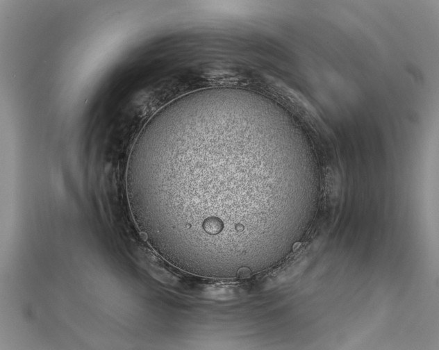 X0000113000761200909031253