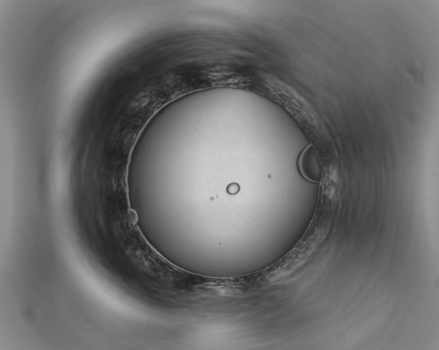 X0000113000763200909031253