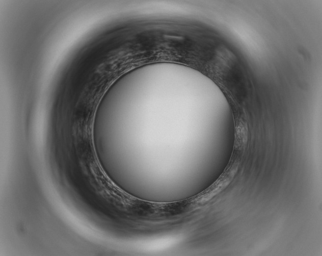 X0000113000765200909031253