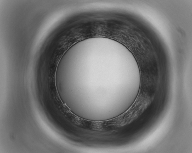 X0000113000766200909031253