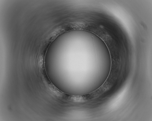 X0000113000767200909031253