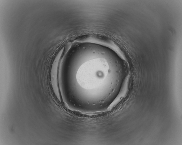 X0000113000769200909031252