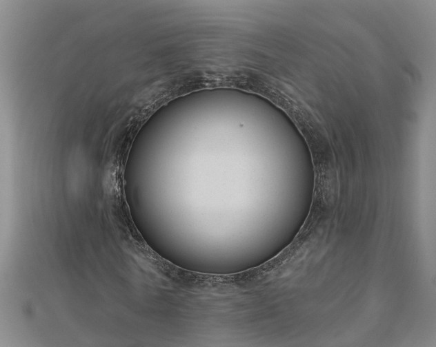 X0000113000770200909031252