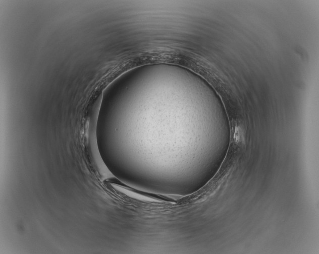 X0000113000771200909031252