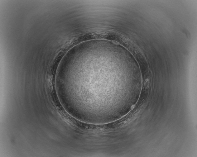 X0000113000772200909031252