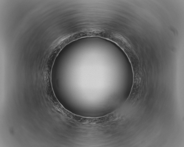 X0000113000773200909031252