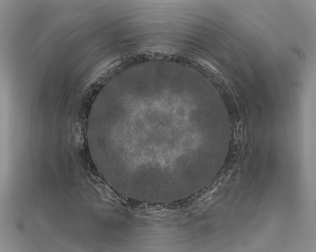 X0000113000774200909031252