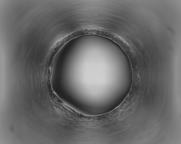 X0000113000775200909031252