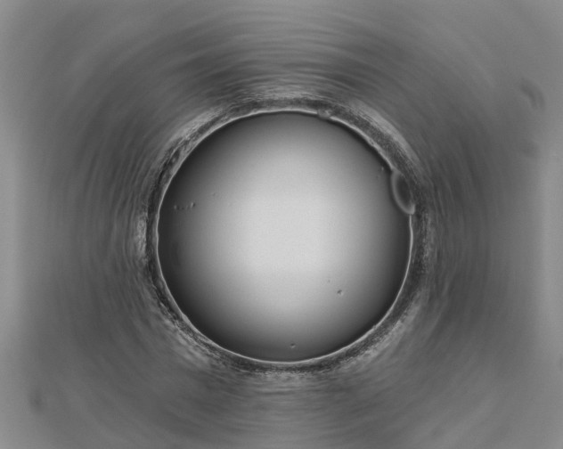 X0000113000777200909031252