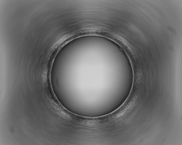 X0000113000778200909031252