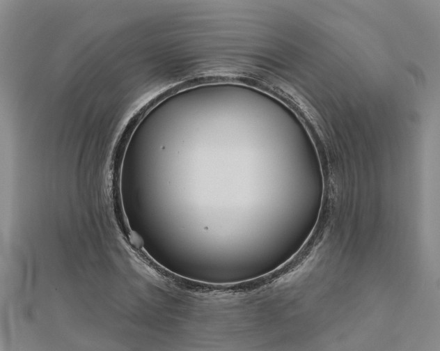 X0000113000779200909031252